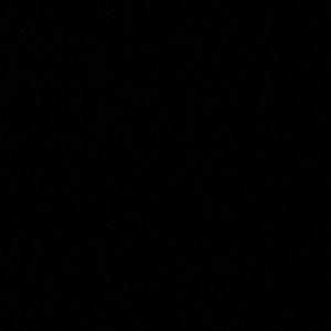 Meet your Posher, Ally